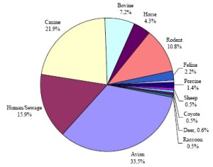 DNA pie chart